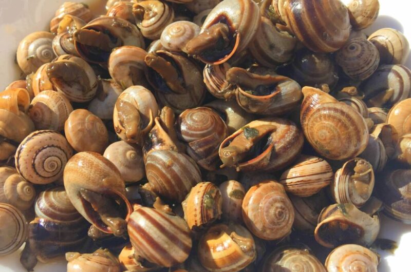caracois pitada
